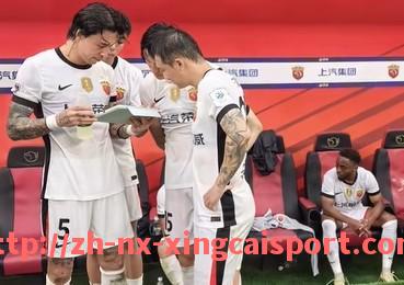 杏彩体育-法甲球衣设计理念解析:色彩与文化的深度融合