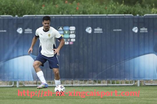 杏彩体育-2024年法甲外援职业生涯轨迹及发展趋势分析