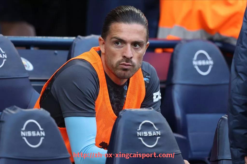 杏彩体育-世俱杯历史进球球员所属国家分布全景图