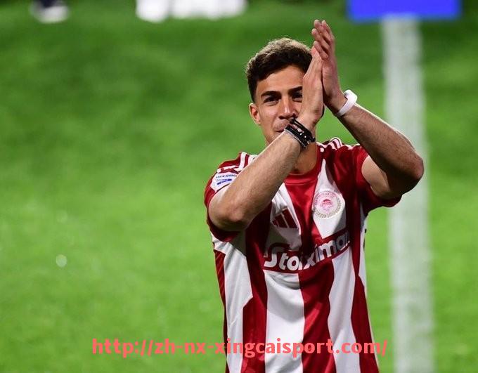 杏彩体育-世俱杯比赛延期原因深度分析及官方公告解读