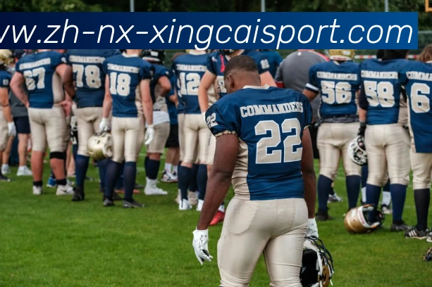 杏彩体育APP 封面图